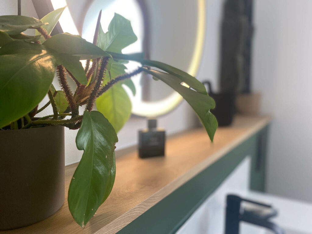 Rénovation salle de bain ambiance d