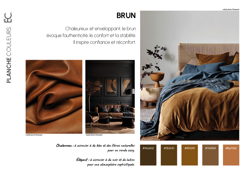 palette de bruns pour une décoration d